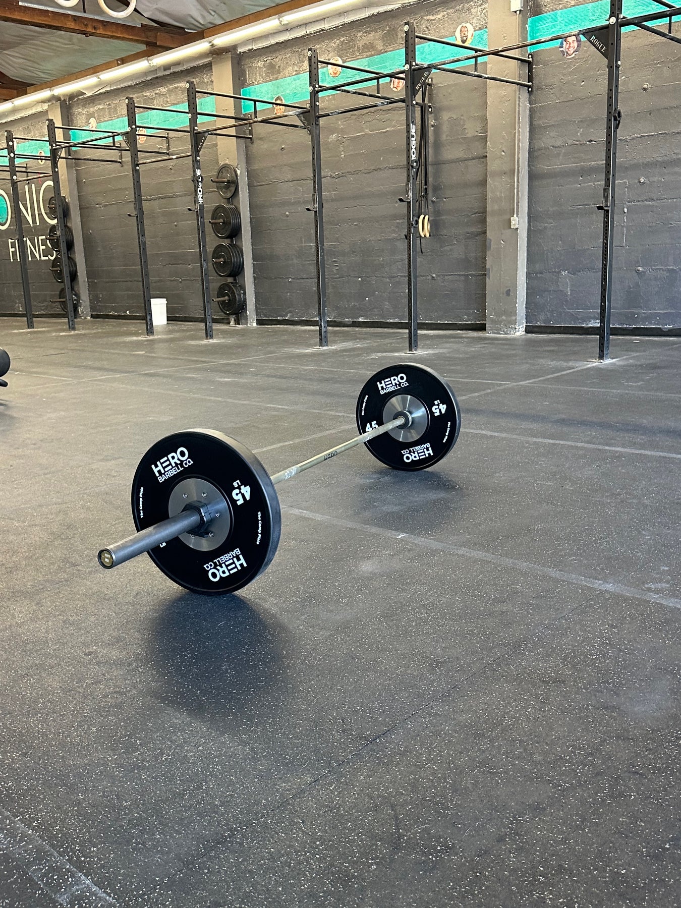 Competitive Plate Setting The Comp Plate - Competition Bumper Plate Pair – Hero Barbell Co.