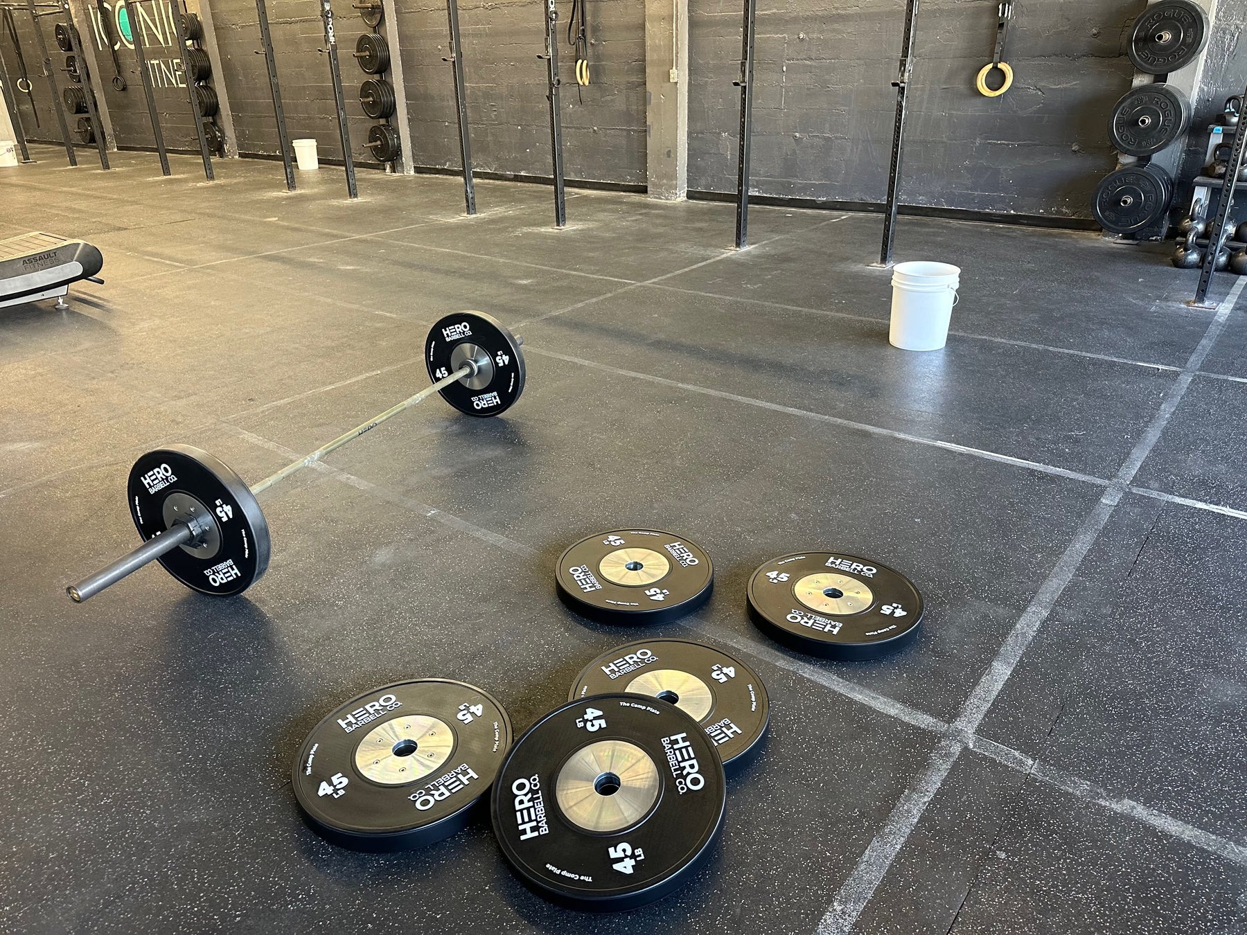 Competitive Plate Setting The Comp Plate - Competition Bumper Plate Pair – Hero Barbell Co.